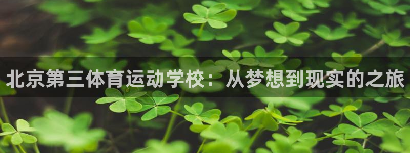 鲸鱼体育场：北京第三体育运动学校：从梦想到现实的之旅