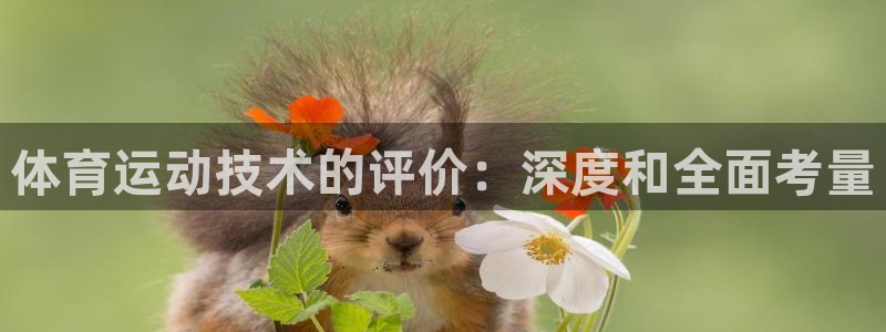 鲸鱼体育老板是谁