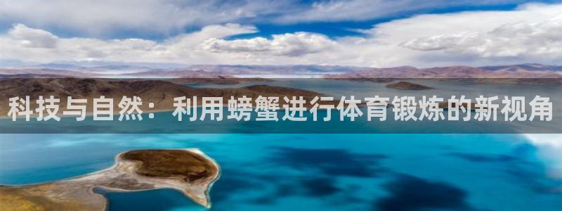 鲸鱼体育电视版下载安装