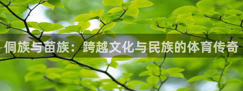 鲸鱼体育app下载安卓版本安装包