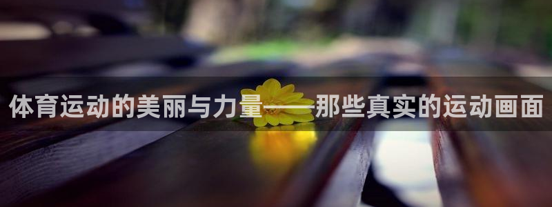 鲸鱼体育为什么下载不了