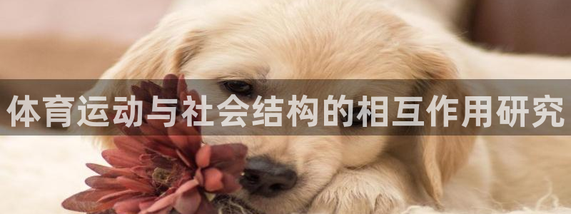 鲸鱼体育视频直播
