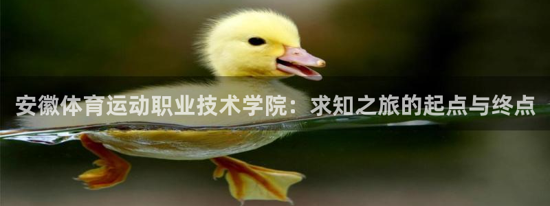 鲸鱼体育网址