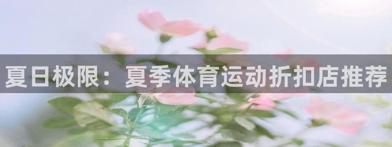 鲸鱼体育一体育比分：夏日极限：夏季体育运动折扣店推荐