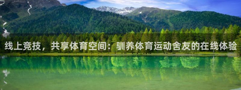 鲸鱼体育直播网页