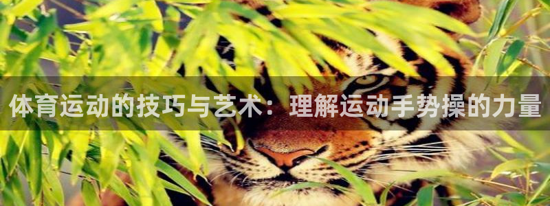 鲸鱼体育怎么下载