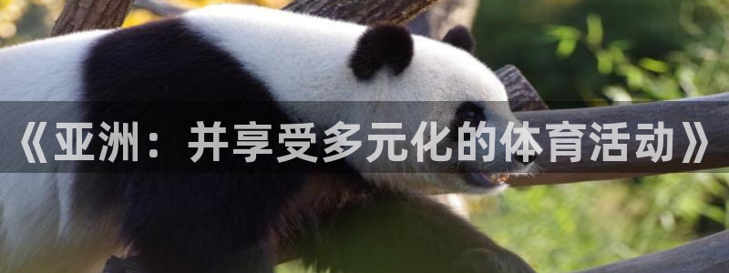 鲸鱼体育熊猫主播去哪里直播