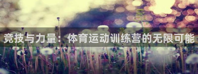 鲸鱼体育免费观看