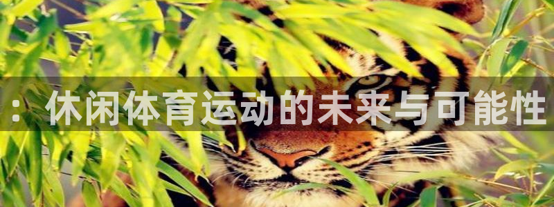 鲸鱼体育nba免费观看官网