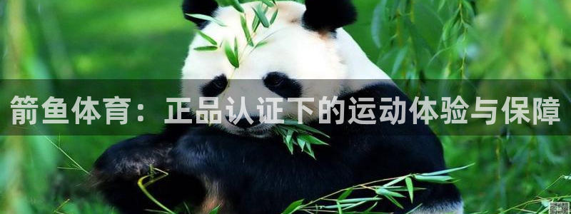 鲸鱼体育手机版软件亮点：箭鱼体育：正品认证下的运动体验与保障